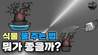 미카엘이 추천하는 물주기 방법  / 식소남 미카엘 SSN MIKAEL