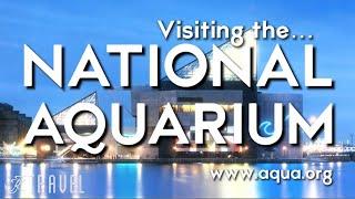 National Aquarium Tour - Baltimore, MD.