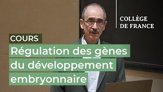 Régulation des gènes du développement embryonnaire... (3) - Denis Duboule (2024-2025)