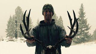 How To Hunt "BIG" Mule Deer Bucks - Stuck N The Rut