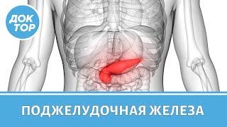 Гастроэнтеролог о поджелудочной железе