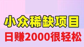 小众网赚项目，一单赚钱200+，日赚2000很轻松！