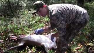 How to Gut a Deer