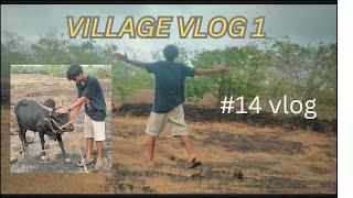 VILLAGE VLOG 1 ||  आज बैल पाटी लागला  || sarthak Jadhav vlog #viralvlogs #vloging #villagevlog