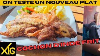 593 Here we eat guinea pig and produce counterfeit! #Cochondinde #gastronomy