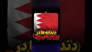 این دندانه ها در پرچم قطر و بحرین چیست؟
