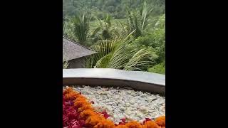 BALI |  Wapa di Ume Sidemen | Travel #shorts #travel #bali #indonesia