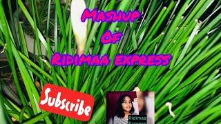 Ridimaa Express Mashup | Poem | Fun | Education | Project | Art & Craft | Myself | Motherland | Song