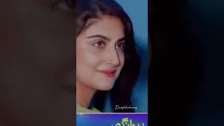 danish taimoor hiba qadir | deewangi | haara dil | winks