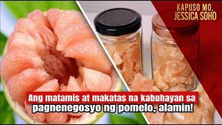 Ang matamis at makatas na kabuhayan sa pagnenegosyo ng pomelo, alamin!  | Kapuso Mo, Jessica Soho