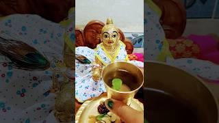 Laddu Gopal# Gopal Sharma # Mayar Aashirwad 