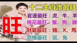 大師解命：十二生肖誰最旺呢？| 星座生肖