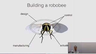 RoboBee: The Flight Apparatus of Flying Insects