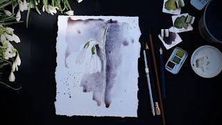 DeepDeepLight watercolors - Simple Snowdrop ilustration @santa_smolaka