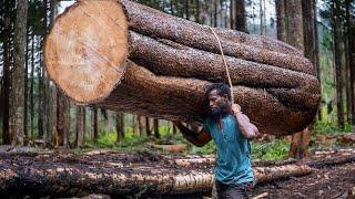 Mann schockiert Förster - Leichtester Baum der Welt BALSA, Kiri - Anbau, Ernte, Verarbeitung