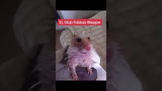 Top 10 Goobie Woobies     #shorts #shortvideo #youtubeshorts #youtube
