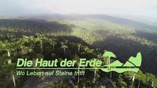 Die Haut der Erde - Wo Leben auf Steine trifft