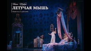 Оперетта "Летучая мышь" / Саратов / Тизер