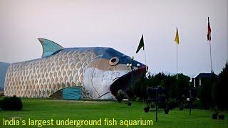 India's largest underground fish aquarium | Bagh e bahu jammu | bagh e bahu fish aquarium