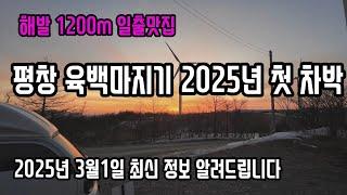 2025년 육백마지기 첫차박//육백마지기 최근 정보 알려드려요