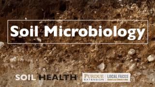 Soil Basics: Soil Microbiology