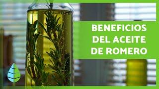 ACEITE de ROMERO 🪔 ¡Propiedades, BENEFICIOS y Cómo Hacerlo!