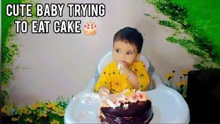 How to eat Cake  | Little Baby is Trying to Eat Cake | 9th Months Baby Food