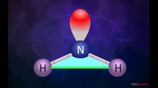 Repulsion  between Lone – pair and bond pair of electrons in Ammonia.