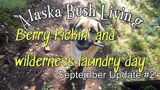 Fall has fell at our remote Alaskan home - September Update #2