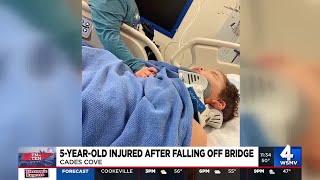 5-year-old recovering after falling of bridge in TN national park