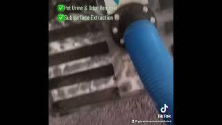 Pet odor removal - carpet #odorremoval #carpetcleaning #greensourcecarpetcare