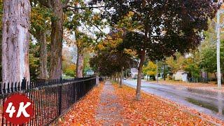 Walk in The Rain | Old Neighborhood in Kitchener, Canada | 4K 60fps ASMR