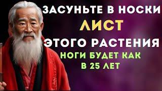 2 ЛИСТА ЭТОГО РАСТЕНИЯ НОГИ ПЕРЕСТАНУТ БОЛЕТЬ  ДАЖЕ ЕСЛИ ВАМ 90 лет