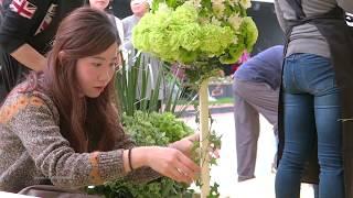 HKAFA | 香港花卉展覽2018 The Hong Kong Flower Show 2018