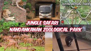 Nandankanan Zoological Park Jungle Safari By Bus| #zoo #forest #forestsafari #lion #tiger #deer