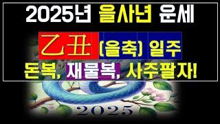 2025년 을사년 운세! 태어난 사주가 乙丑(을축)일에 태어난 일주들의 재물복,투자 매매운 및 반드시 조심해야 할 것.