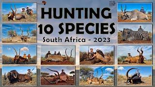 Hunting South Africa, 12 animals, 10 species with White Lion Safaris