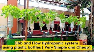 Ebb and Flow Hydroponic System ( Flood and Drain) using plastic bottles || Very Simple and Cheap