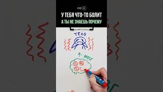 Психосоматика болезней нашего тела