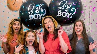 TWIN GENDER REVEAL!