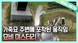 묘비 미스터리) 가족묘 주변에 생긴 발자취, 선조의 환생..?┃Gravestone Mystery.. Eerie Traces Near the Grave