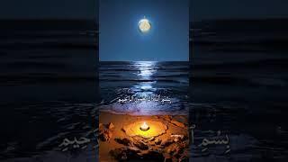 Recitation of the Holy Quran ️#islamic_video #allah #tilawatilquran #quran #viral #fyp #muslim