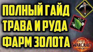 ГАЙД НА СТАРТ ТРАВНИЧЕСТВО И ГОРНОЕ ДЕЛО WAR WITHIN WOW