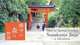 Tales of Sacred Forests: Nunakuma Jinja in Hiroshima Prefecture