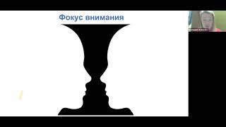 Фокус внимания