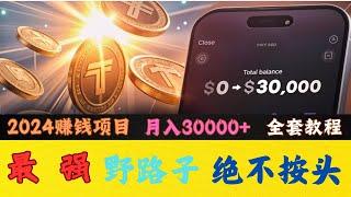 2024最新网络赚钱，灰产 野路子 偏门 项目，教你每天网赚1000USDT 纯兼职副业（老鬼聊灰产）