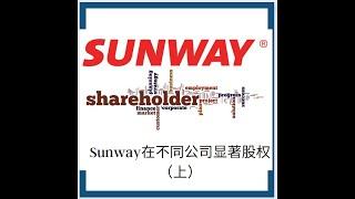 Sunway在不同公司显著股权（上）