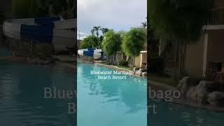 블루워터 마리바고 비치 리조트(Bluewater Maribago Beach Resort)