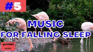 BEST music for falling sleep #5 / relaxing music / yin yang music / good night music