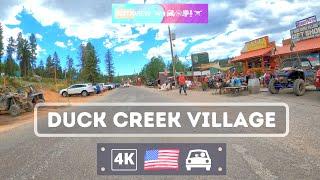 Duck Creek Village - Dixie National Forest - Utah - 4K 